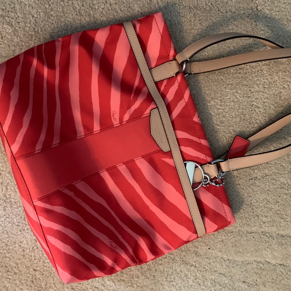 Signature Zebra Stripe Coach Purse